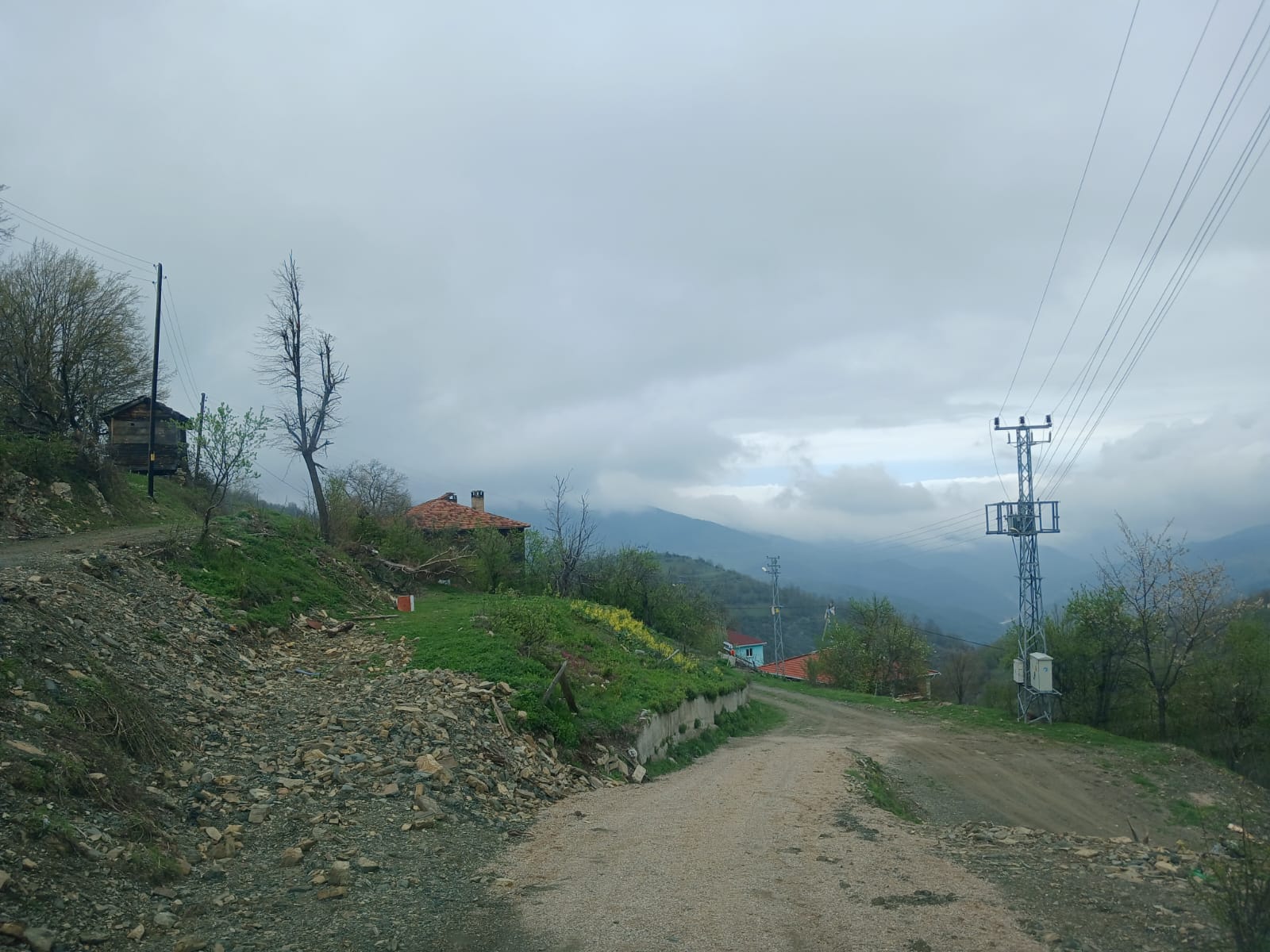İlan Fotoğrafı