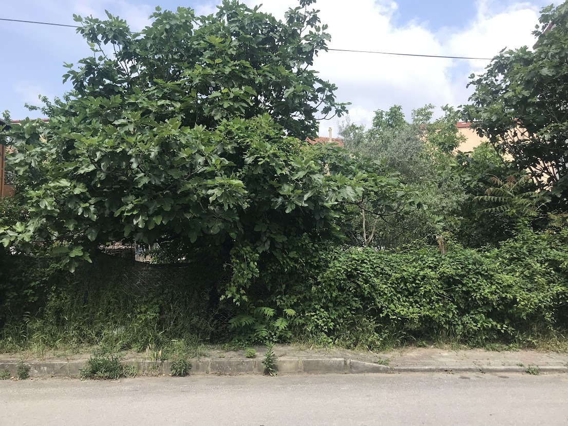 İlan Fotoğrafı