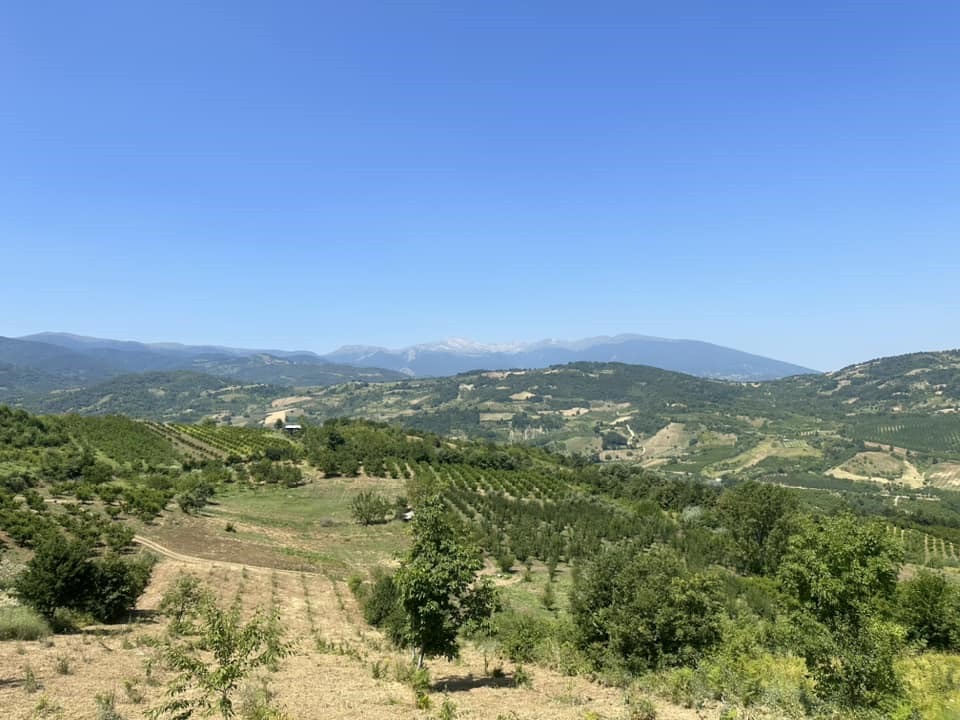 İlan Fotoğrafı