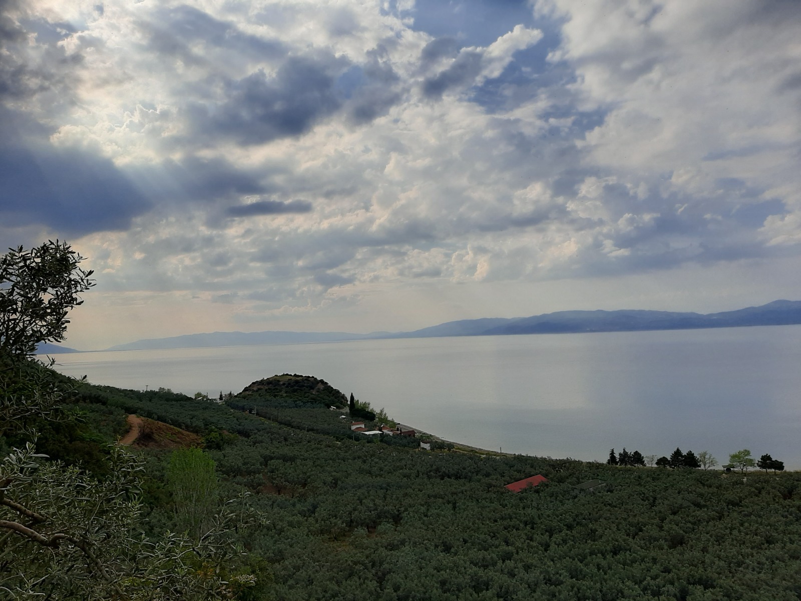 İlan Fotoğrafı