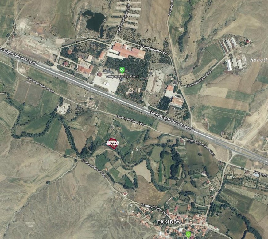 Fotoğraf