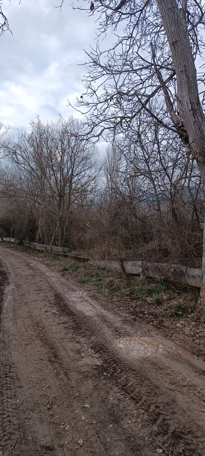 İlan Fotoğrafı