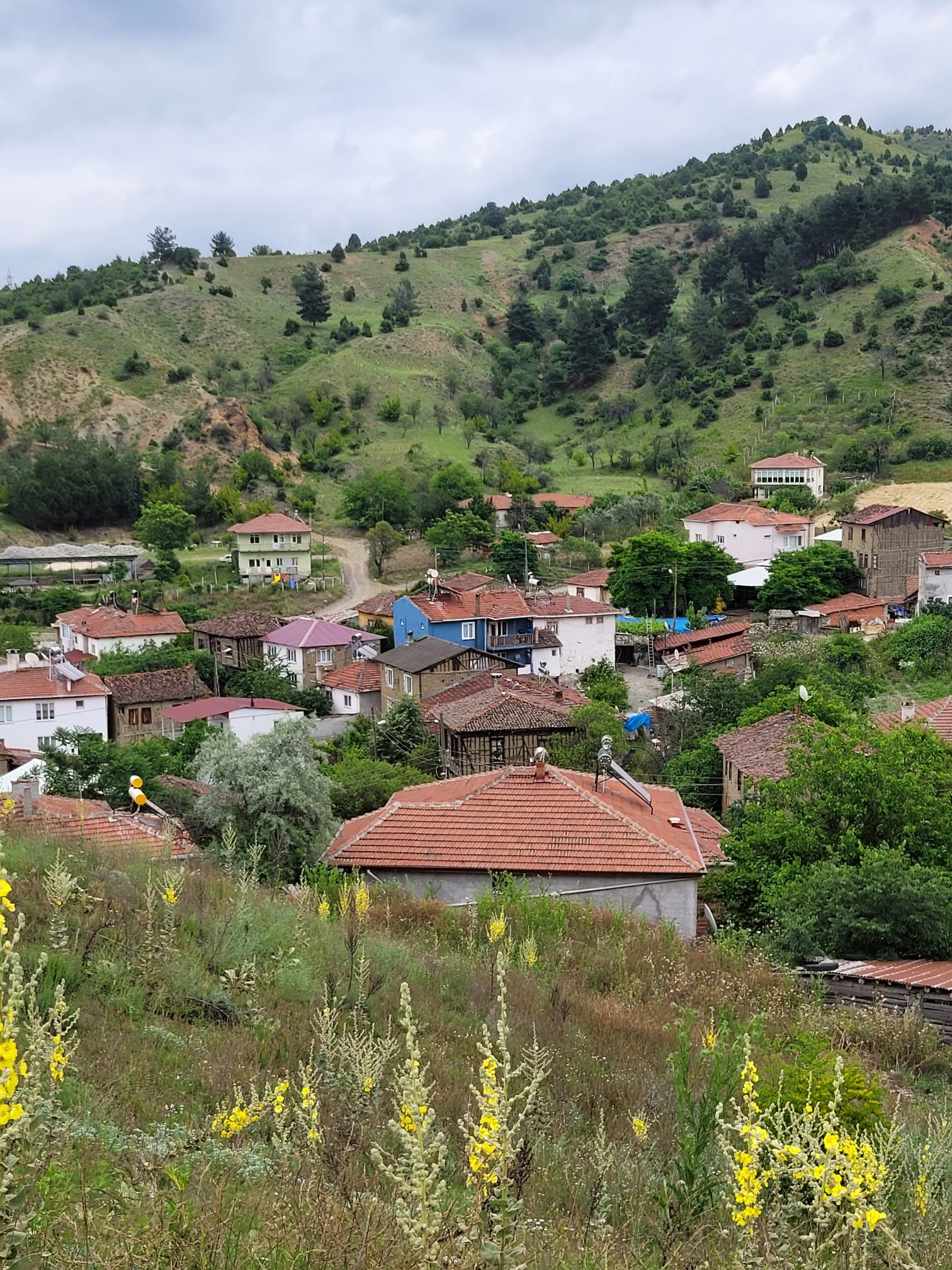 İlan Fotoğrafı