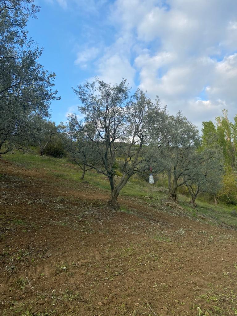 İlan Fotoğrafı