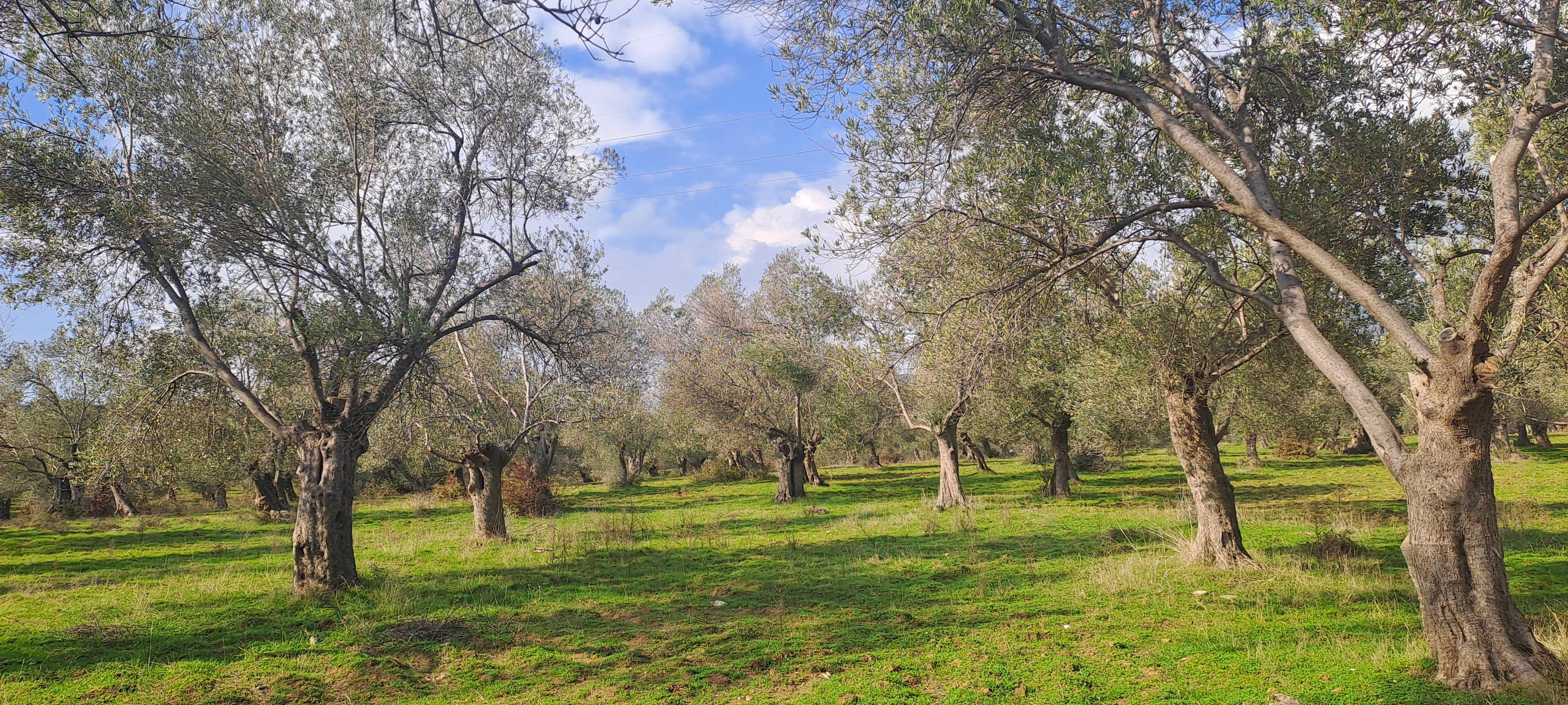 İlan Fotoğrafı