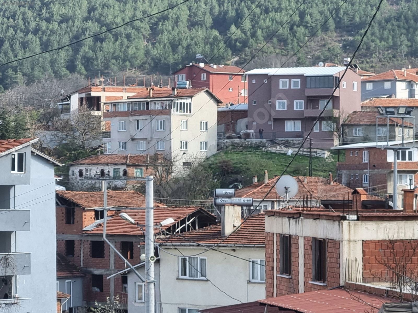 Fotoğraf