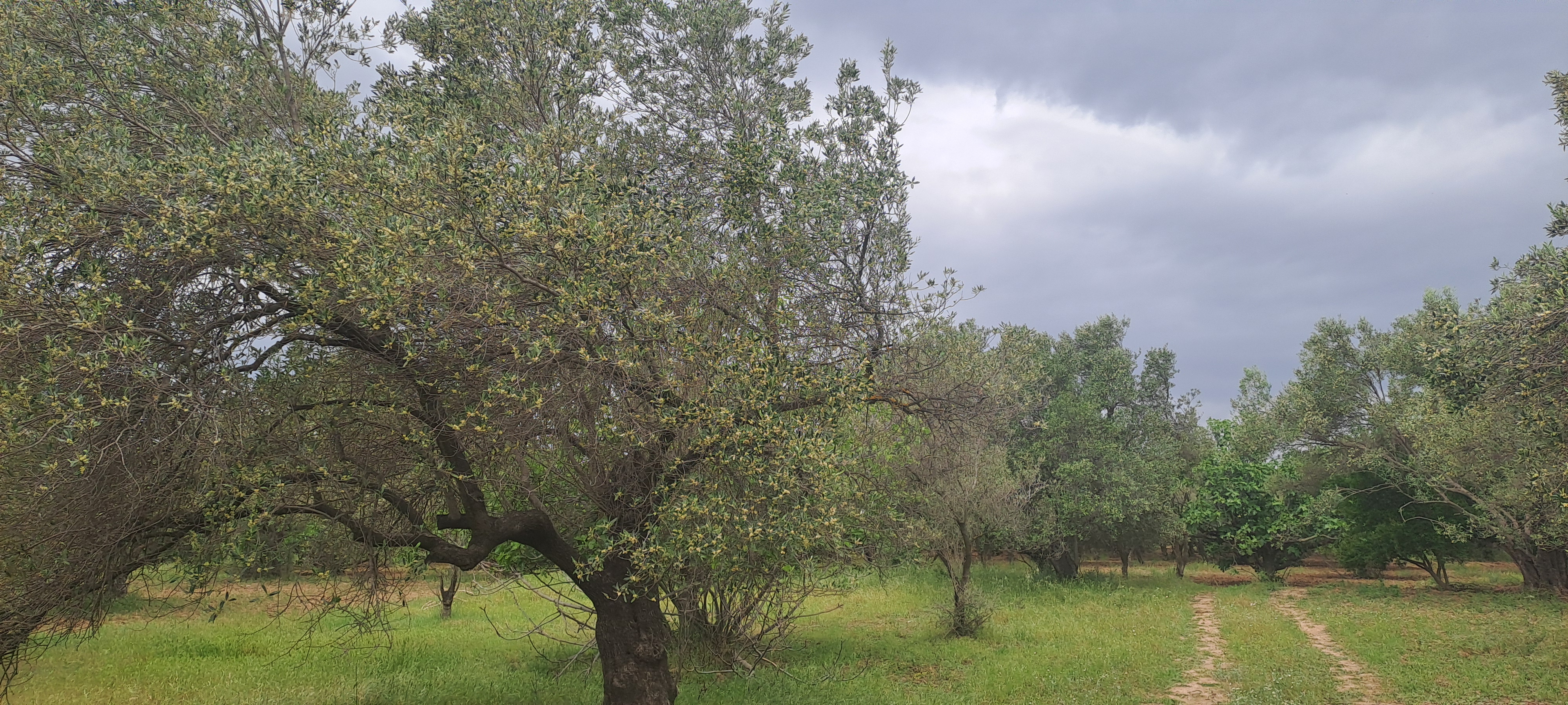 İlan Fotoğrafı