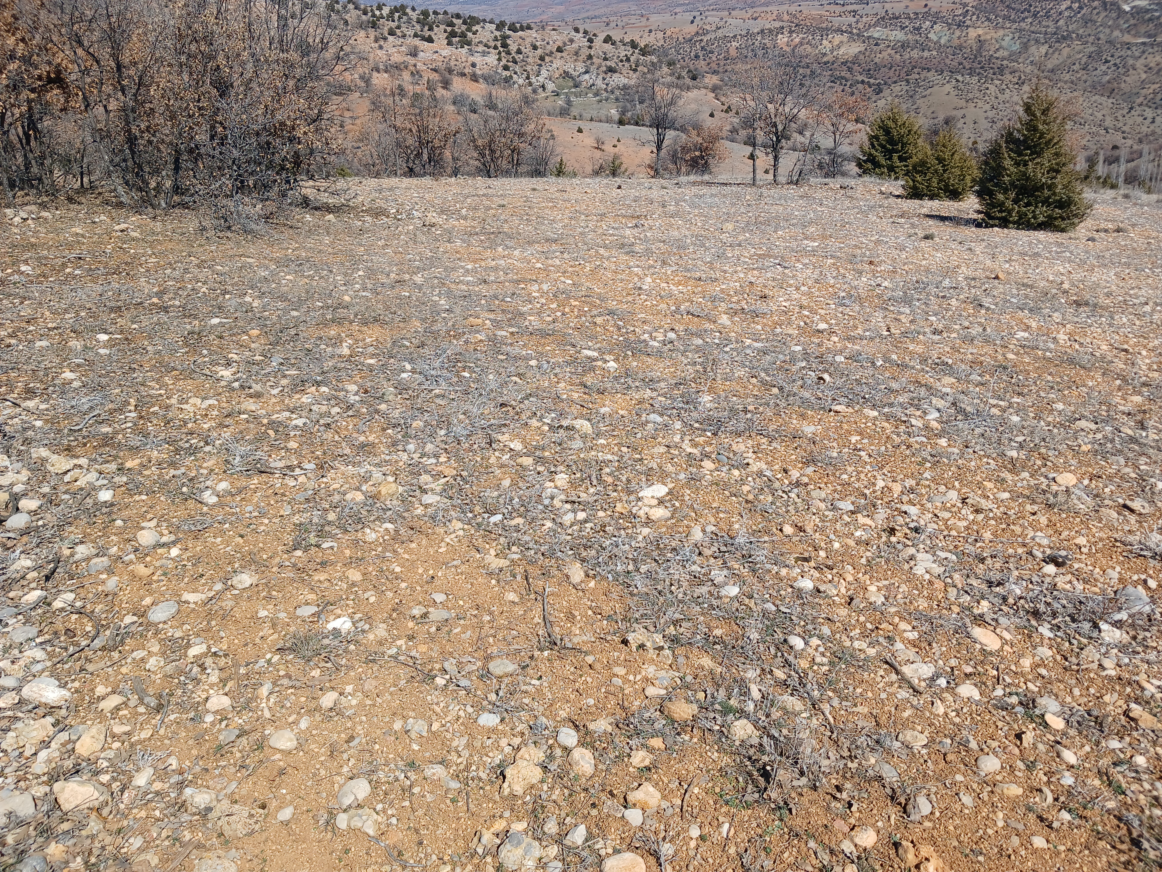 İlan Fotoğrafı
