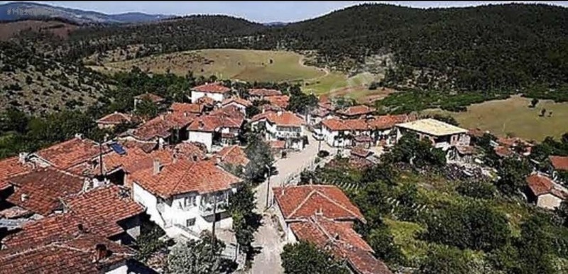 Fotoğraf