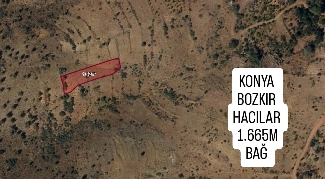 İlan Fotoğrafı