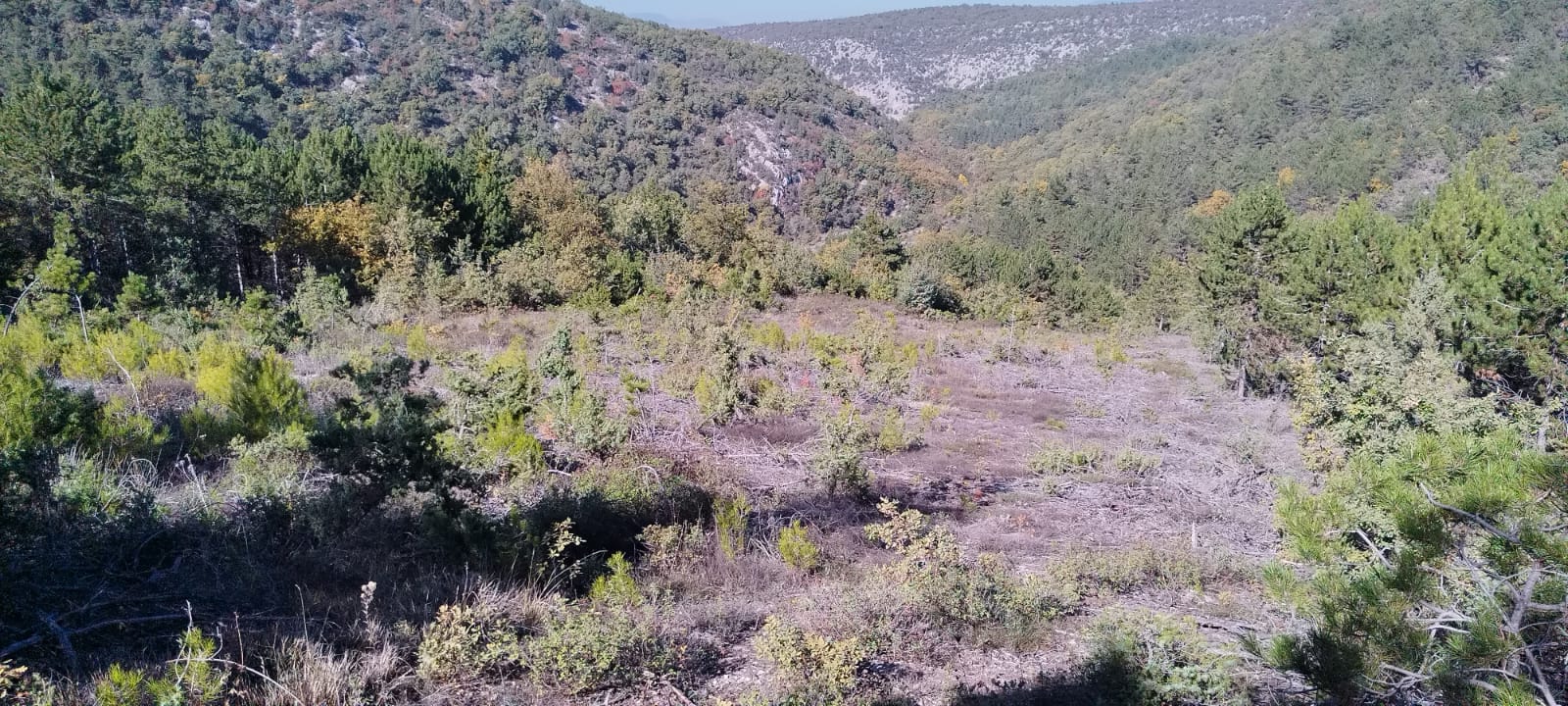 İlan Fotoğrafı