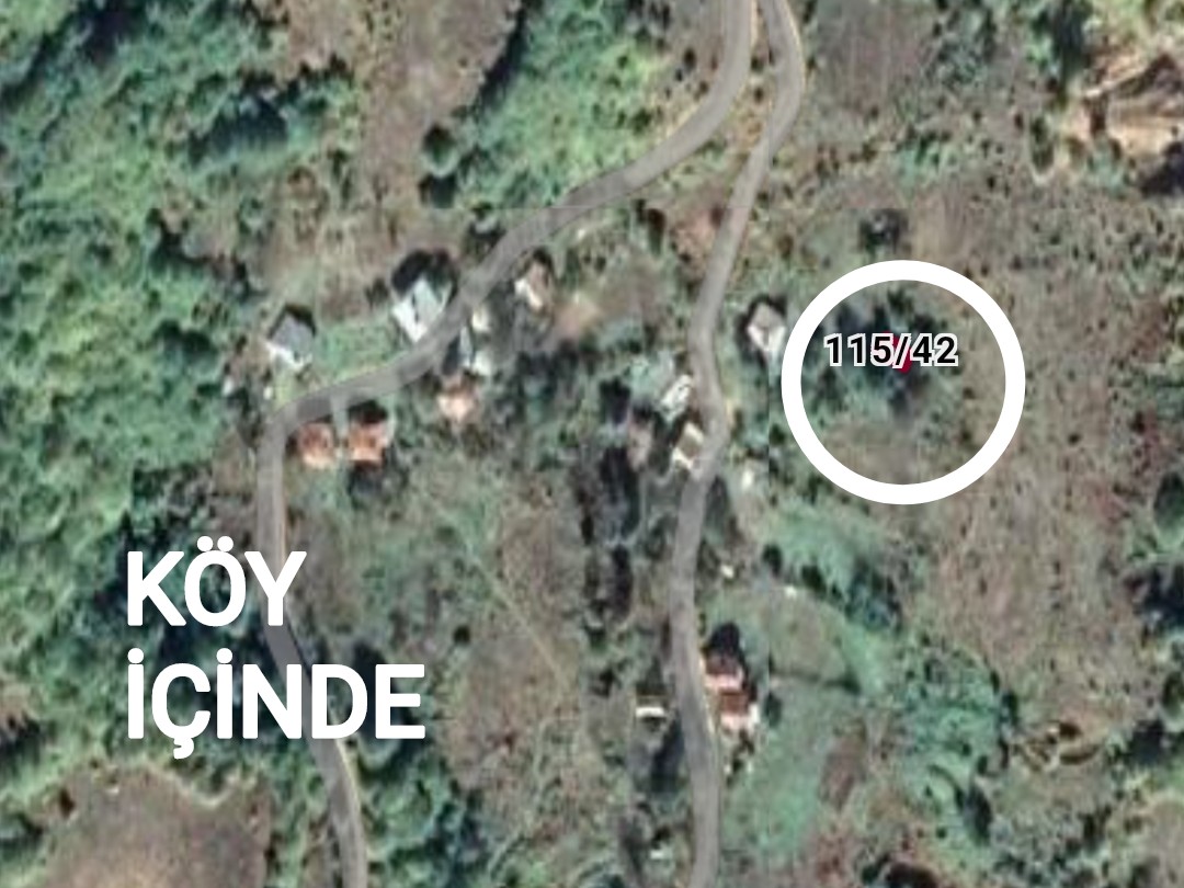 İlan Fotoğrafı