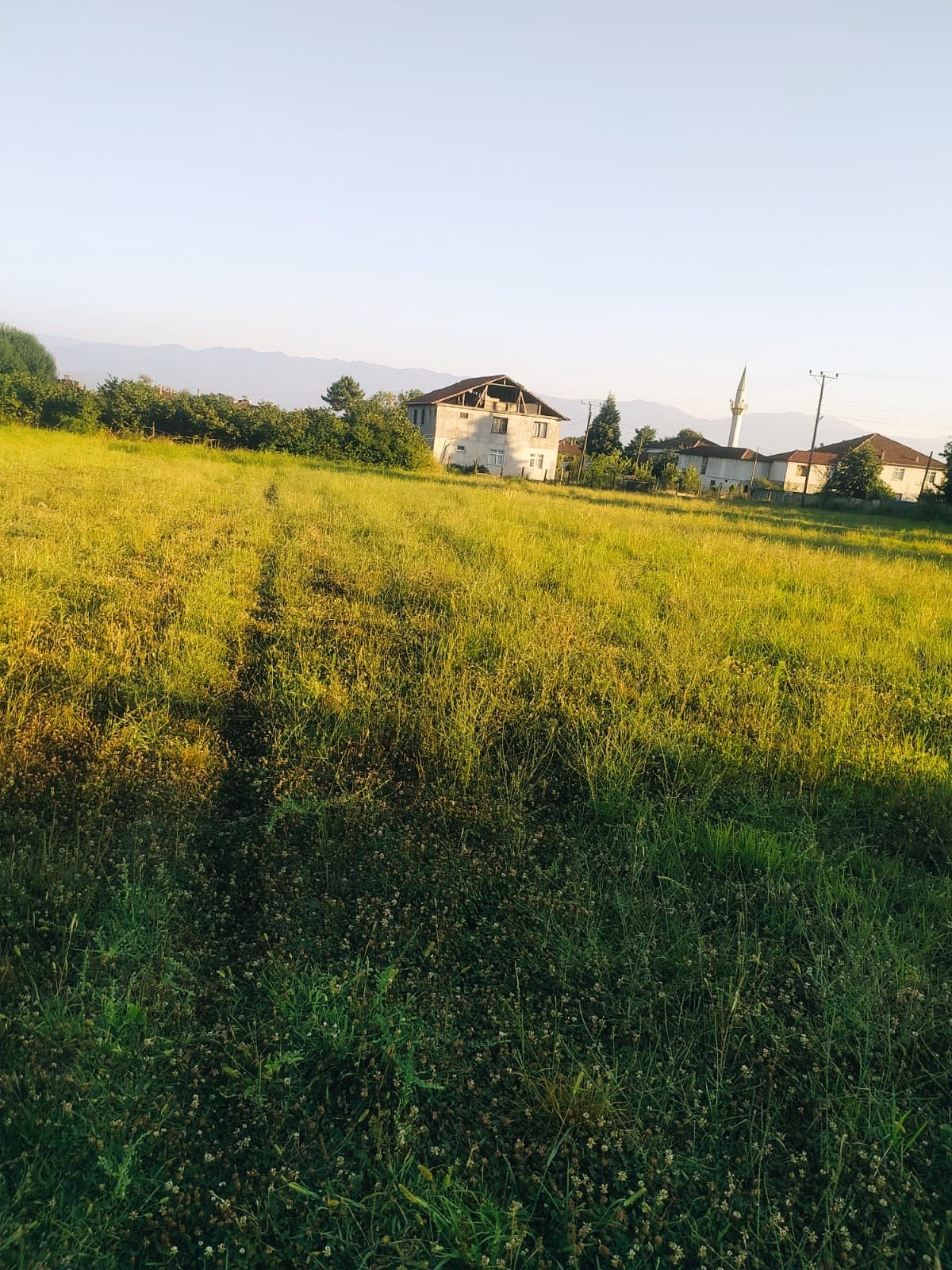 İlan Fotoğrafı