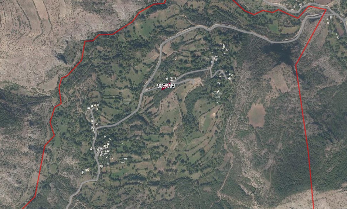 Fotoğraf