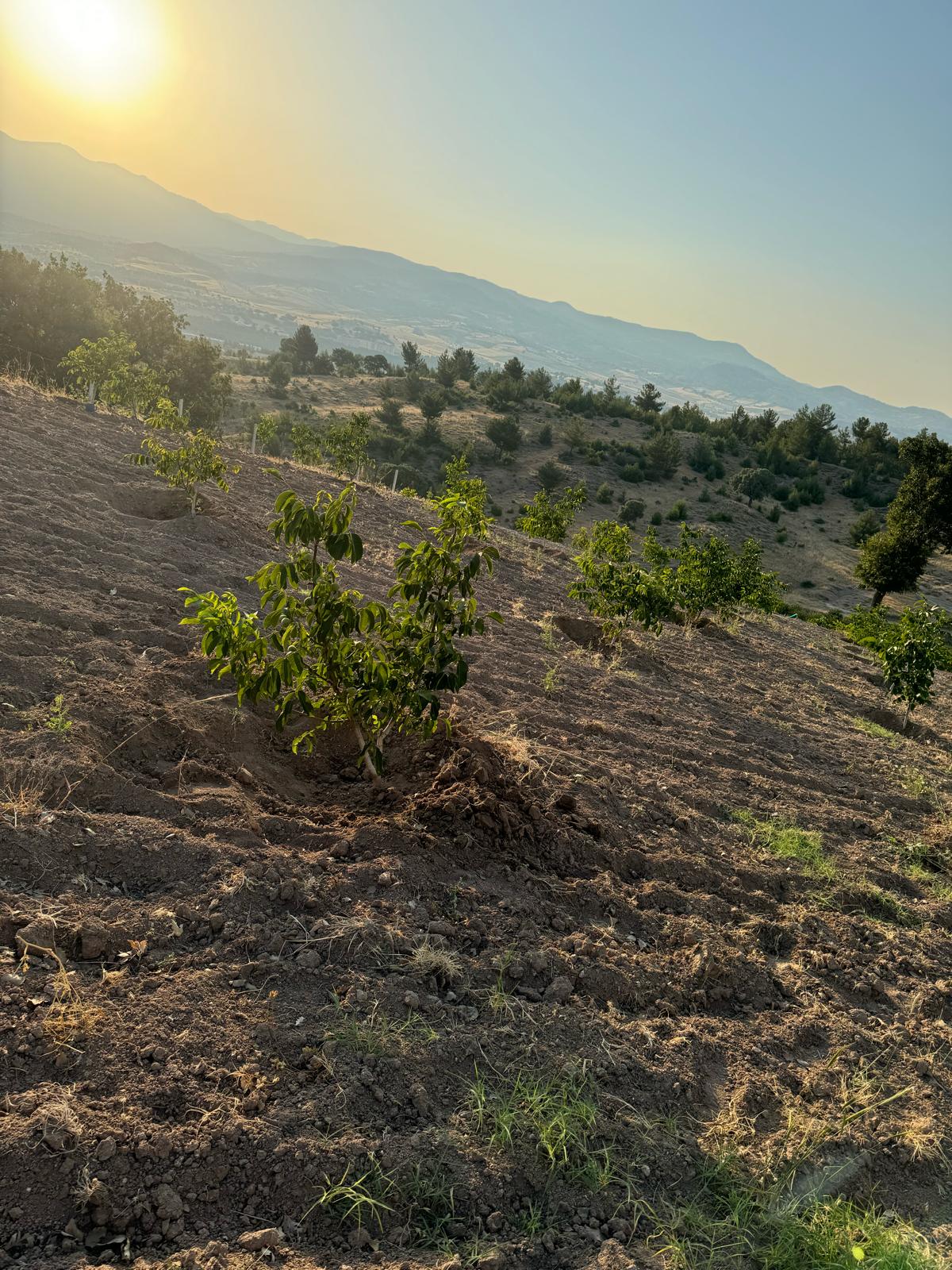 İlan Fotoğrafı