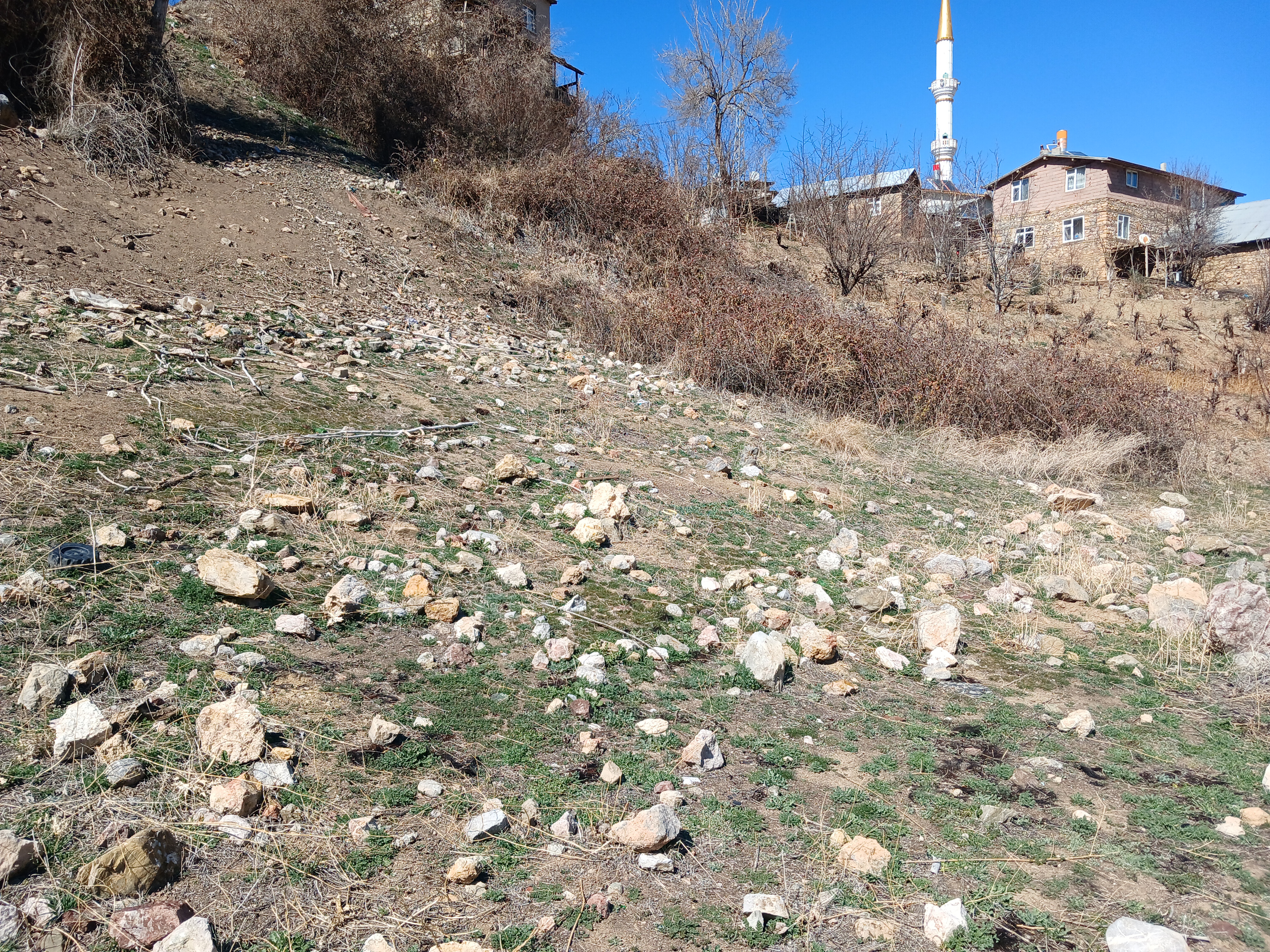 İlan Fotoğrafı