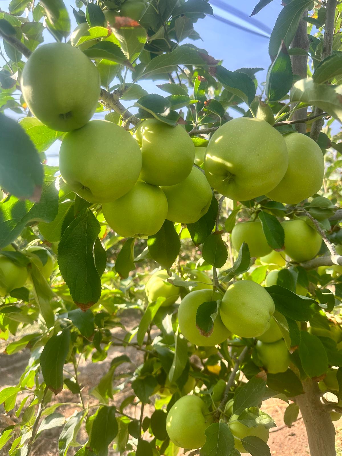 İlan Fotoğrafı