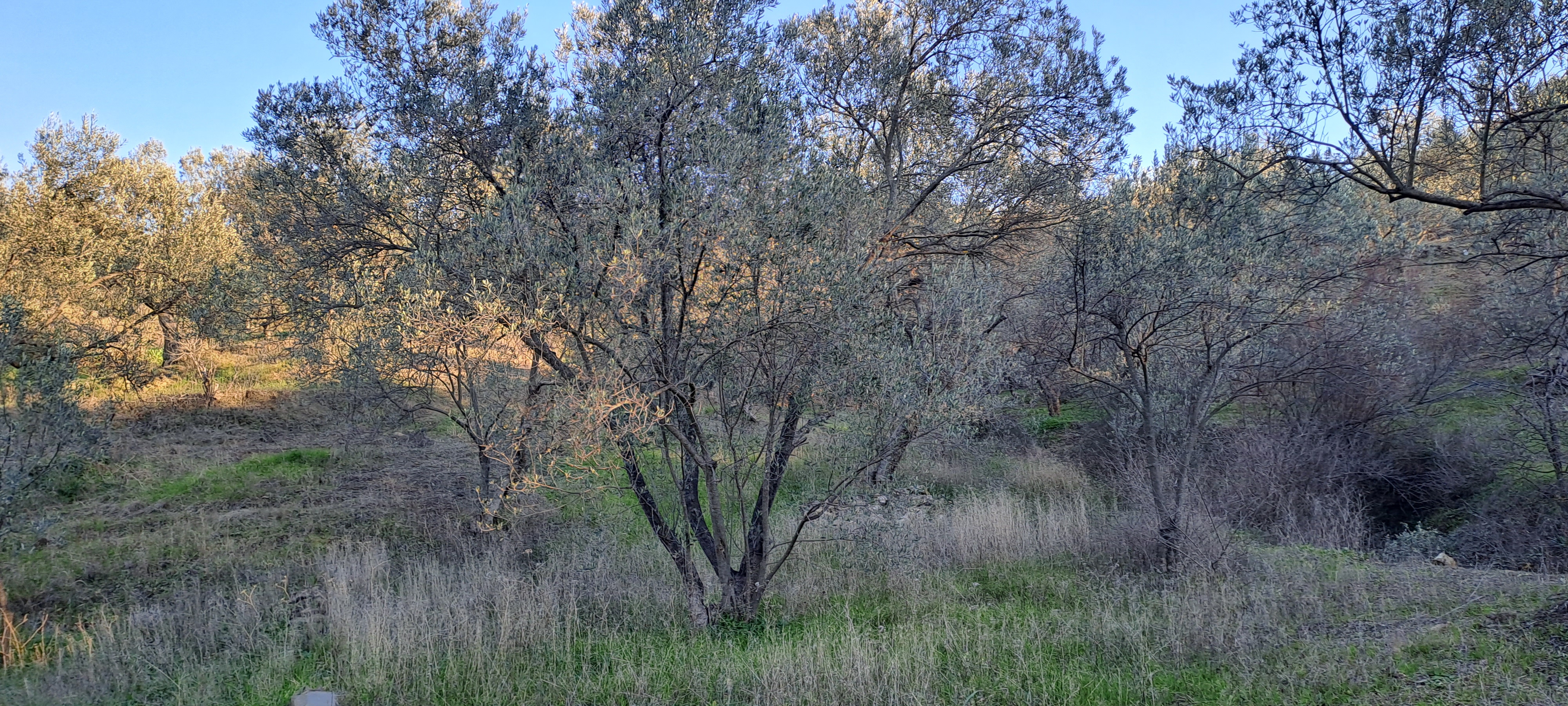 İlan Fotoğrafı