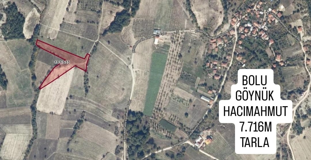 İlan Fotoğrafı
