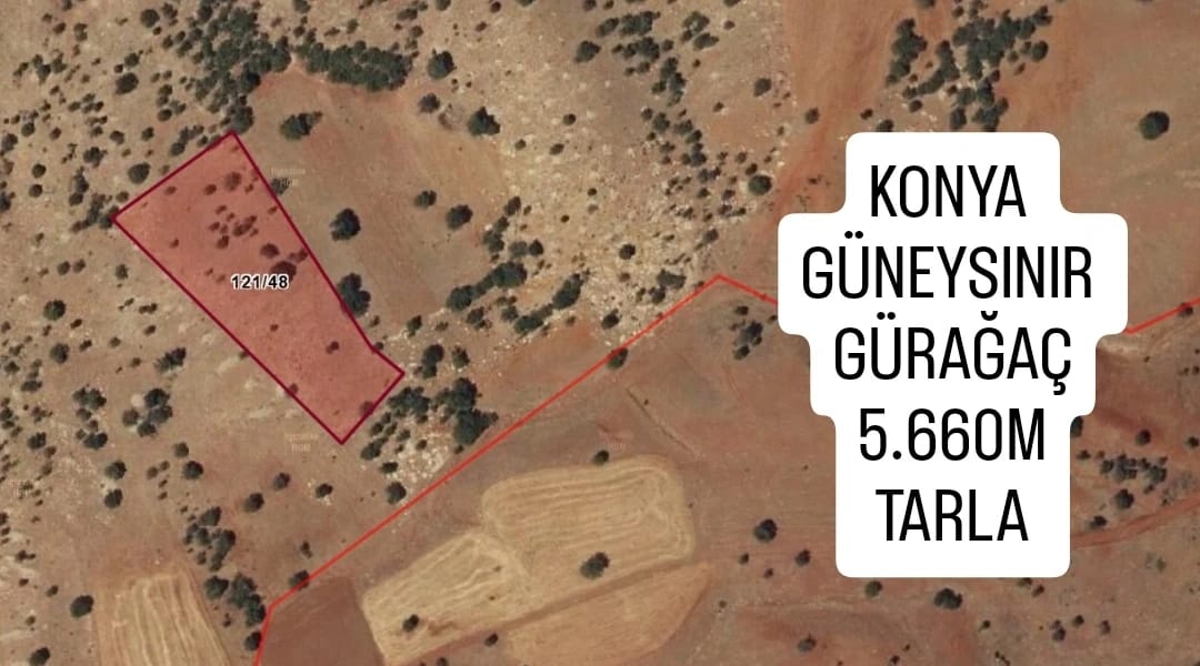 İlan Fotoğrafı