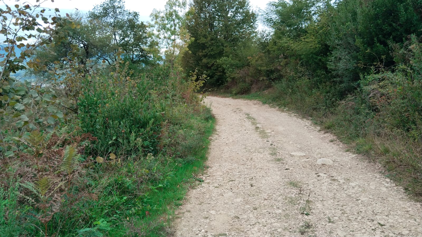 İlan Fotoğrafı