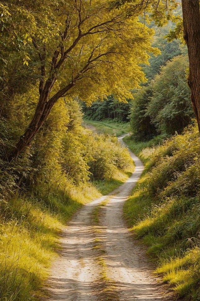 İlan Fotoğrafı
