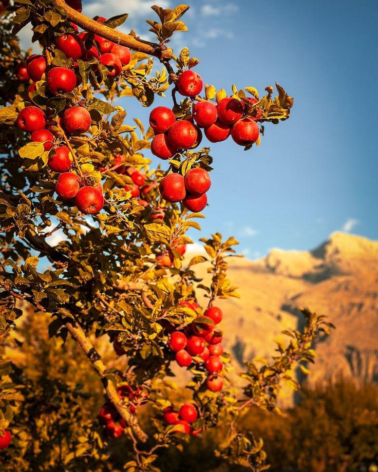 İlan Fotoğrafı