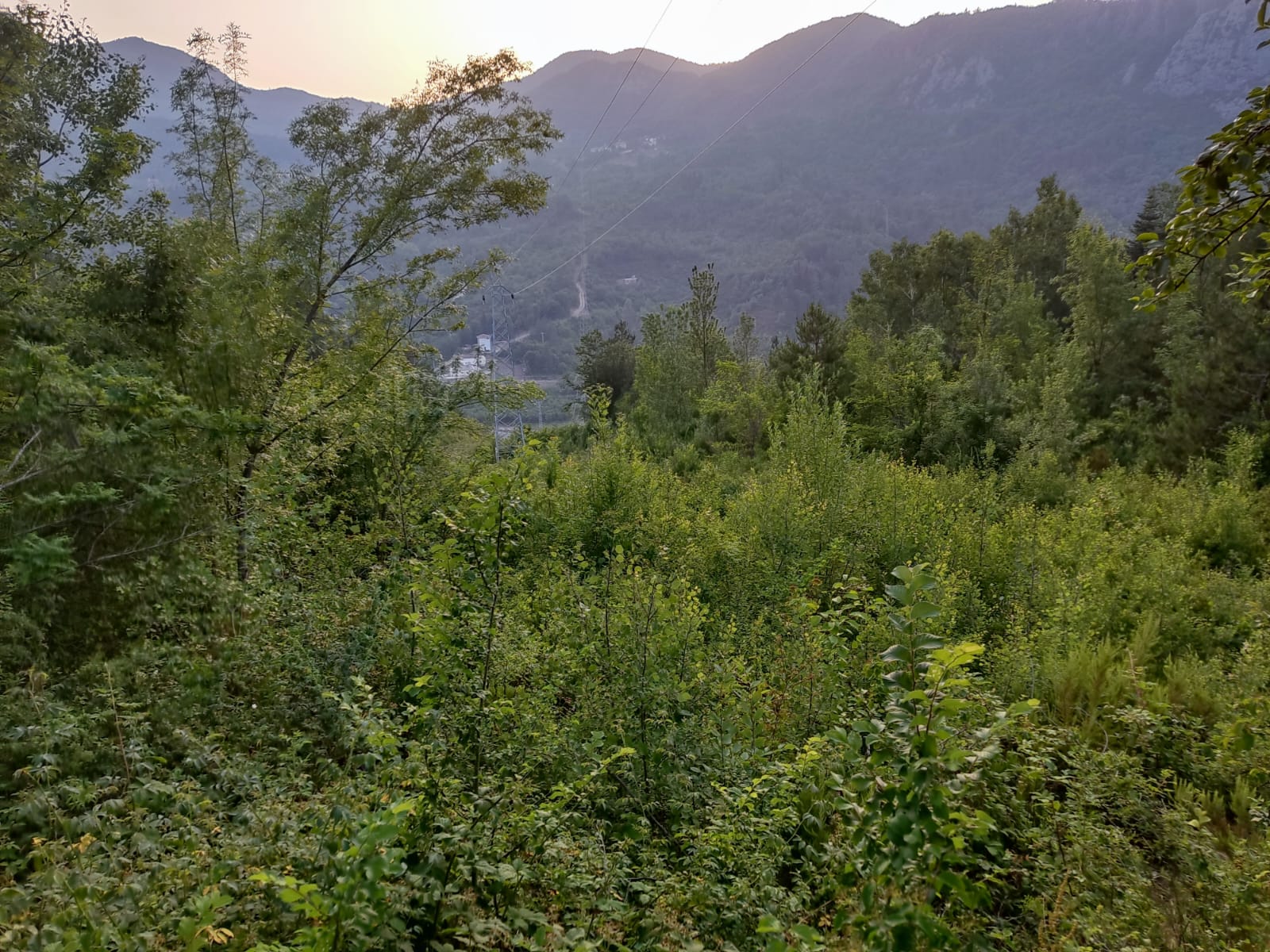 İlan Fotoğrafı