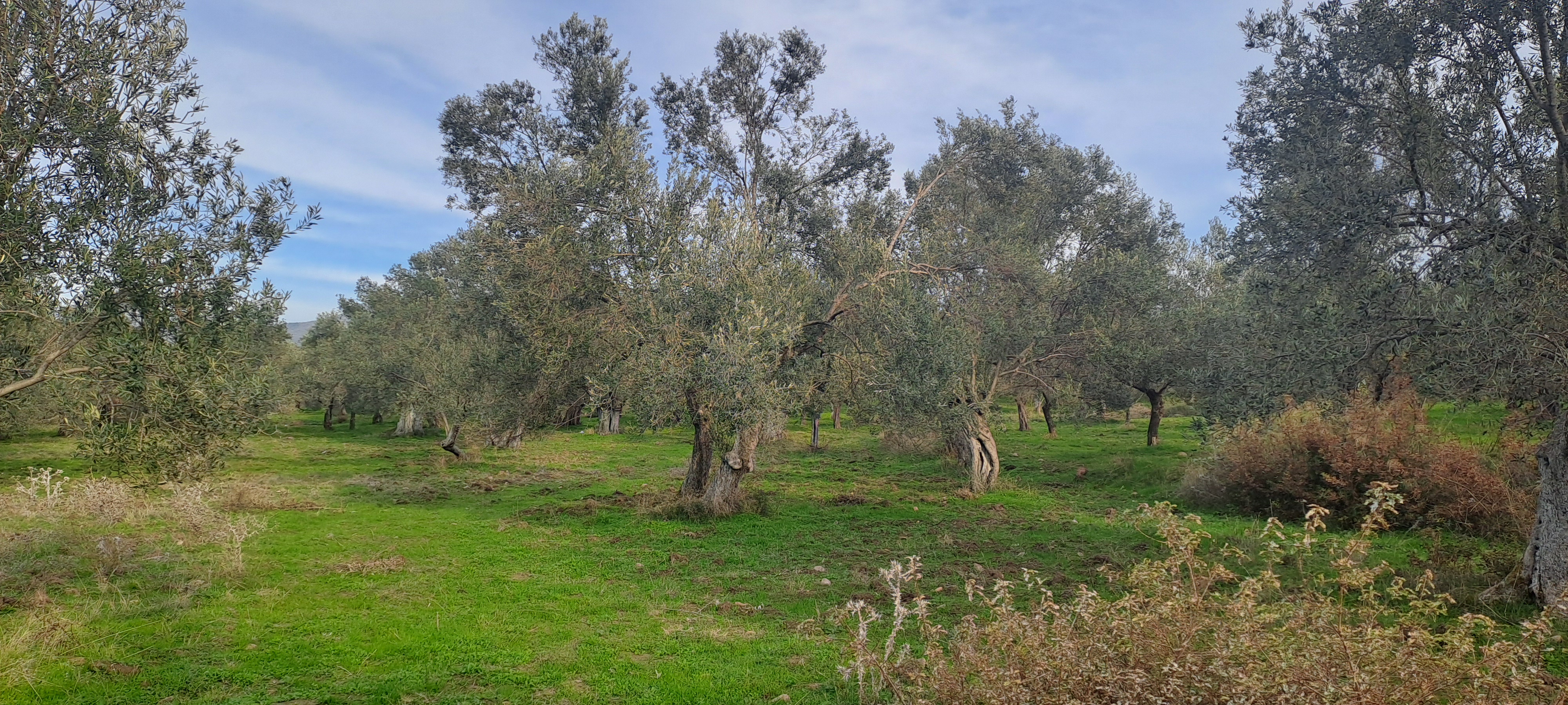 İlan Fotoğrafı