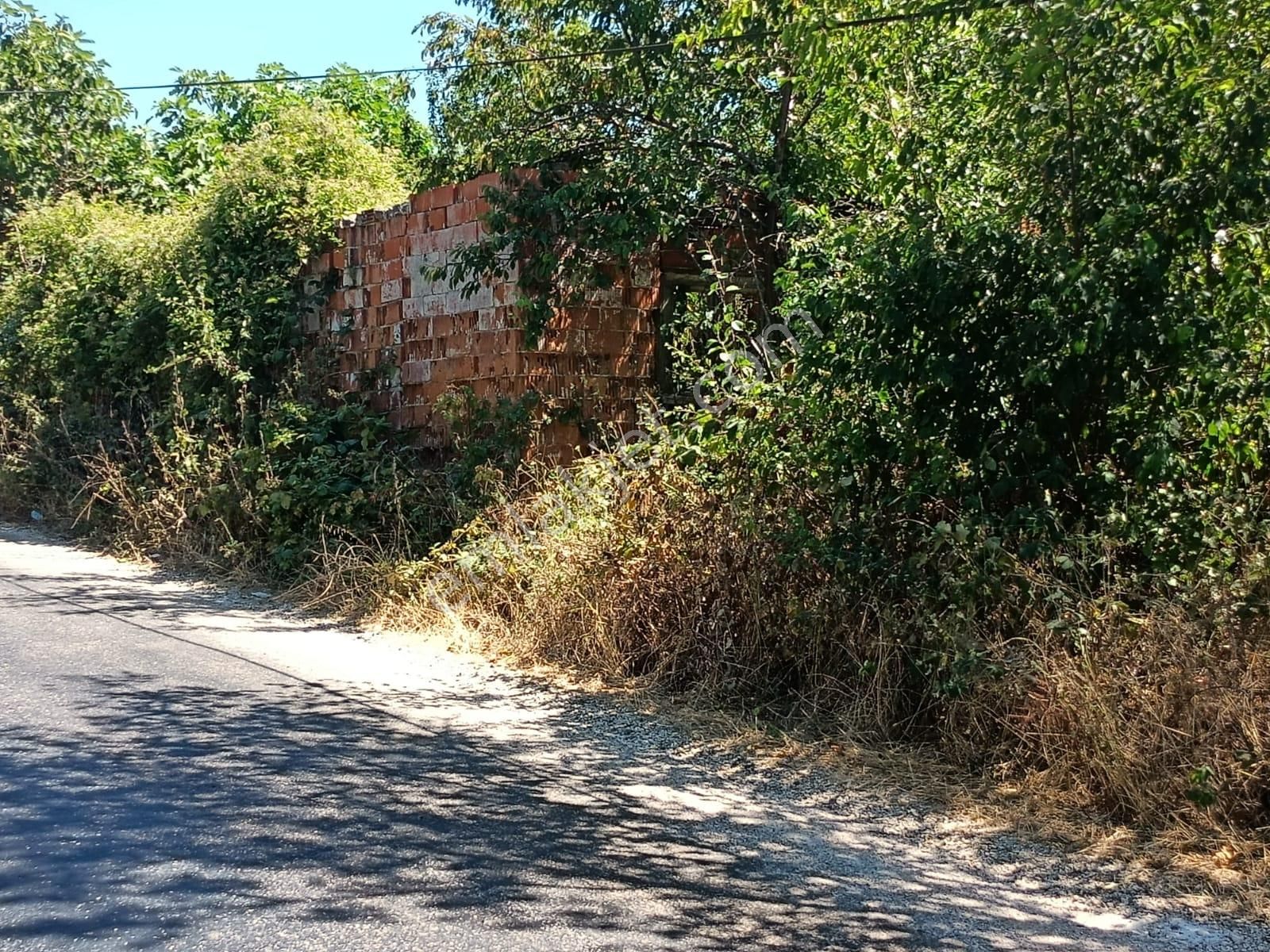 İlan Fotoğrafı