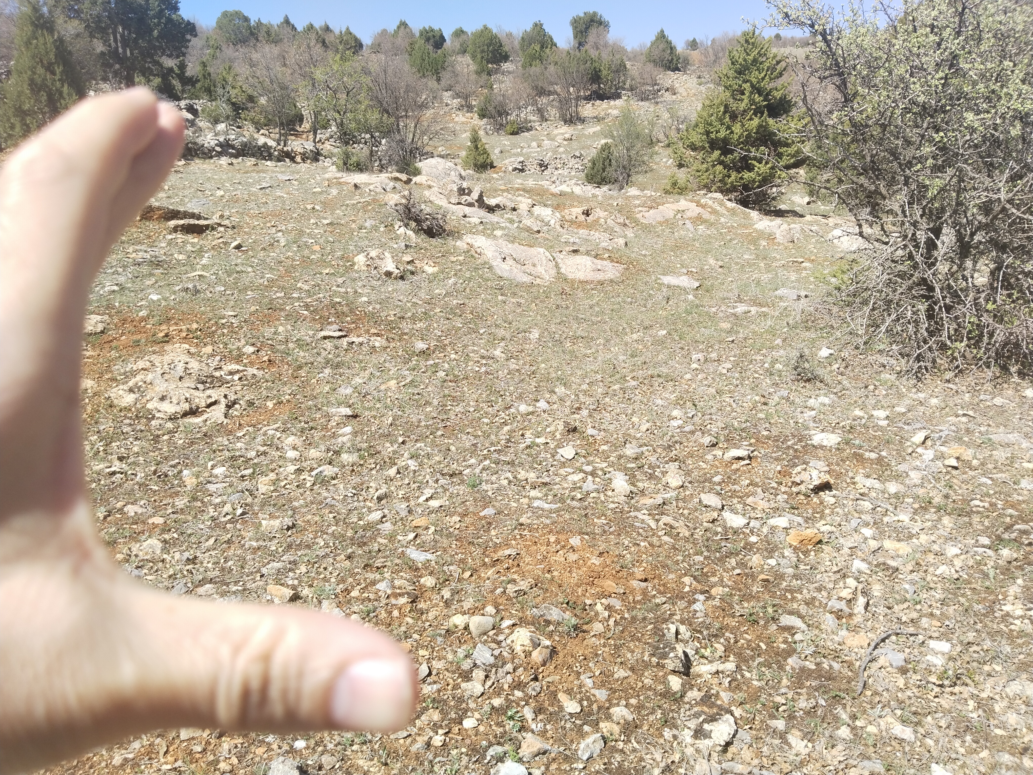 İlan Fotoğrafı