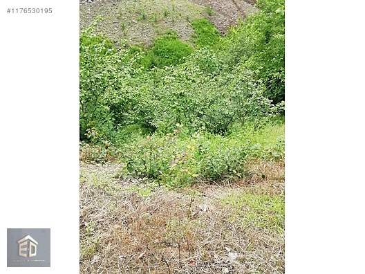 İlan Fotoğrafı