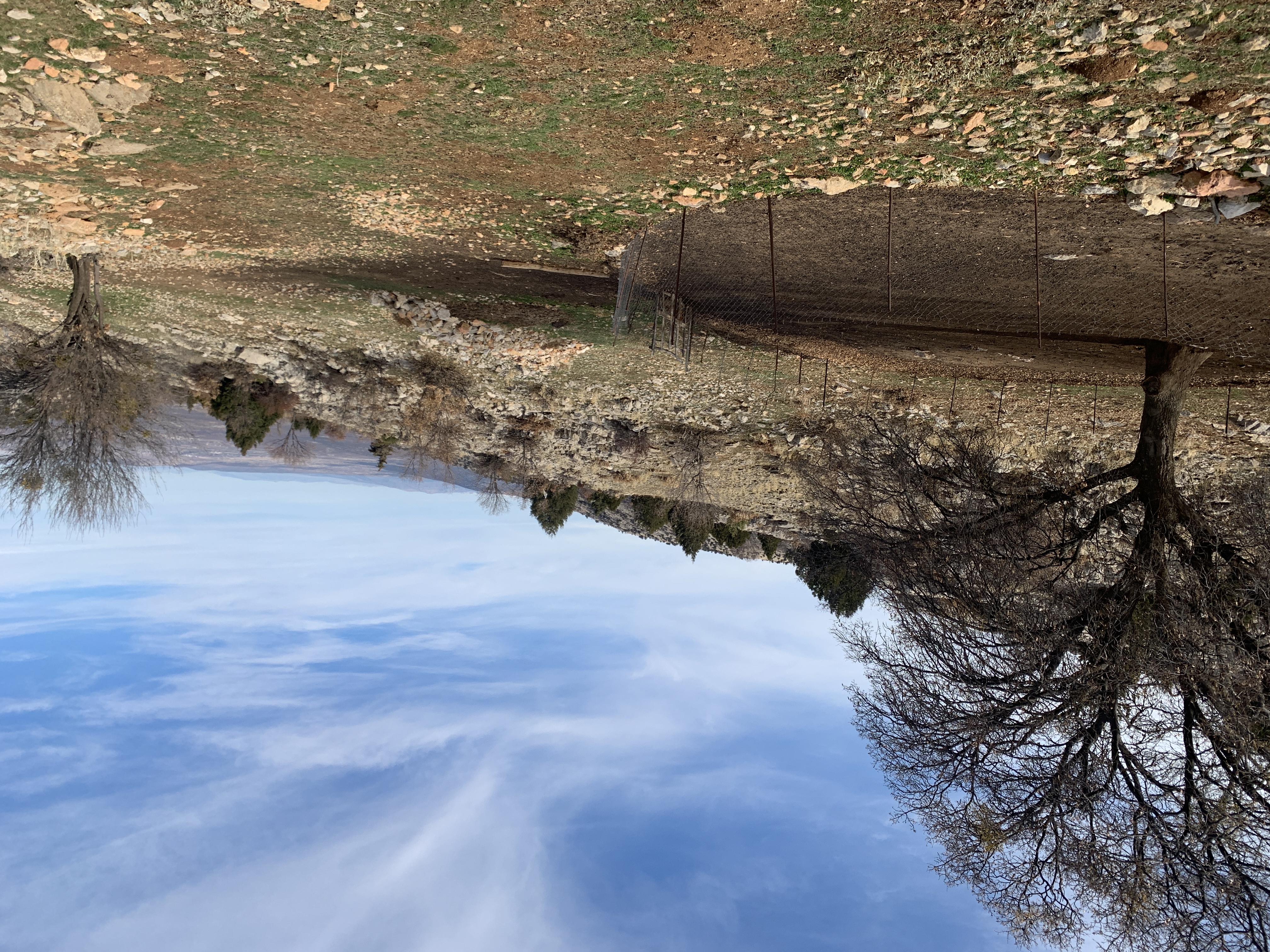 İlan Fotoğrafı