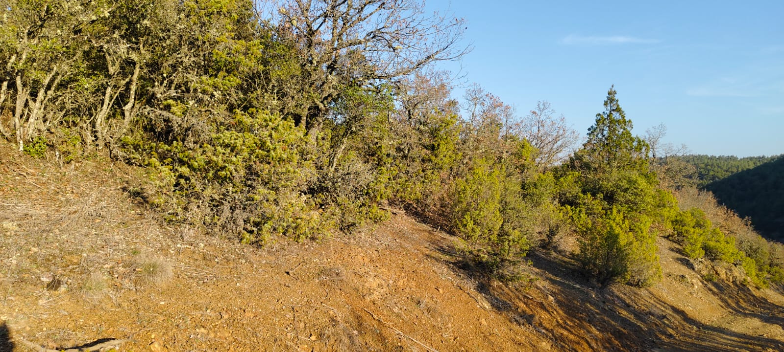 İlan Fotoğrafı