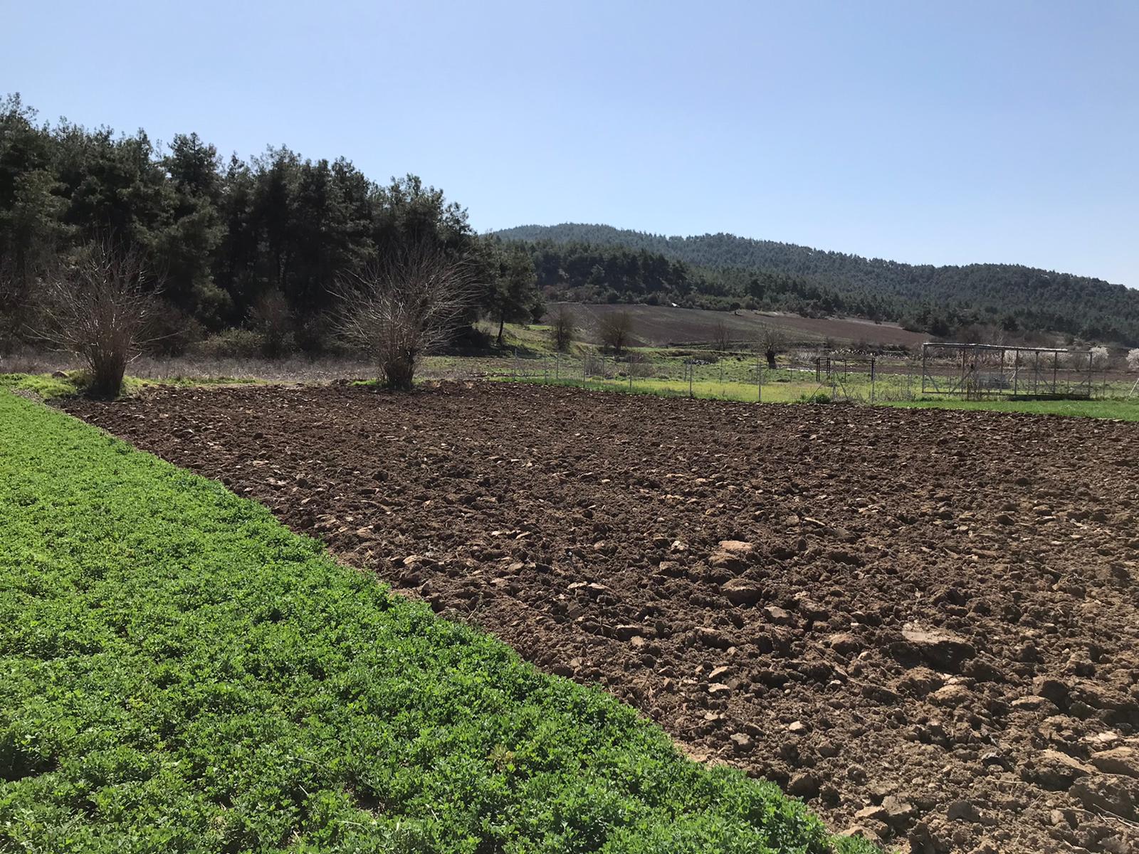 İlan Fotoğrafı