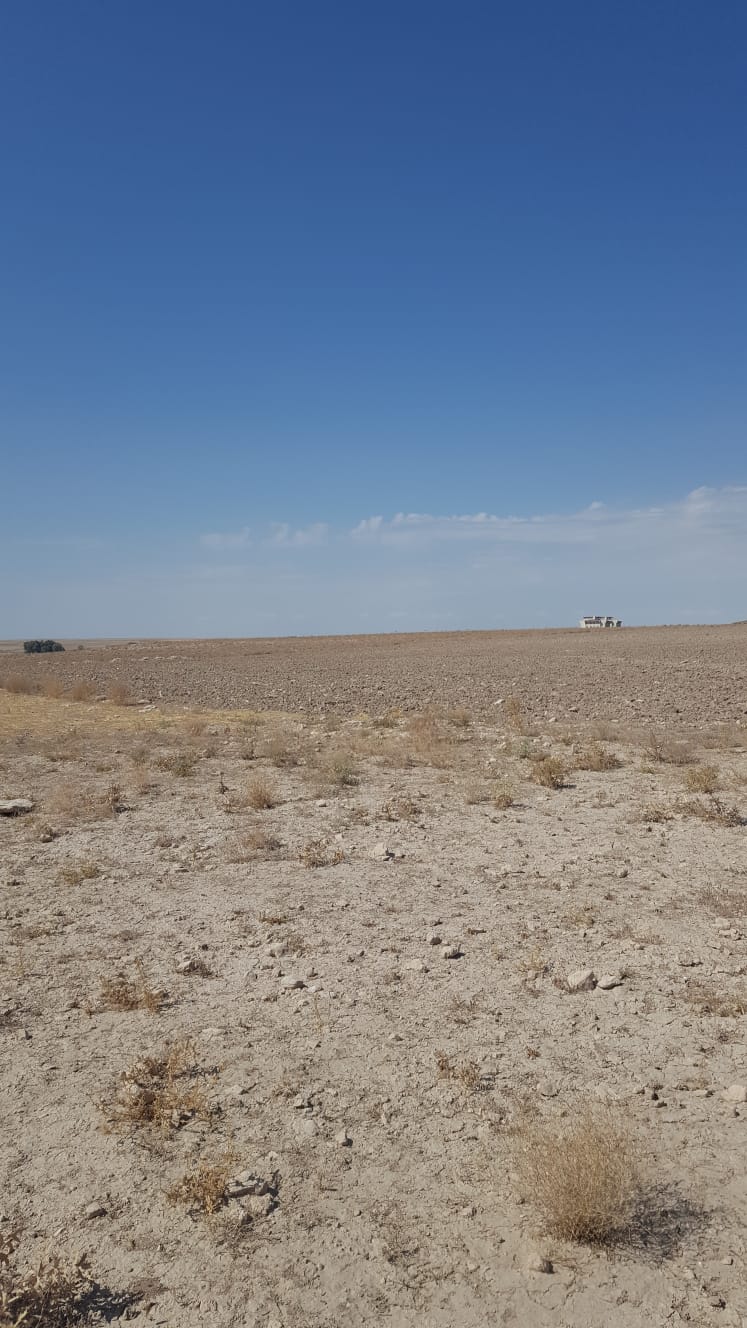 İlan Fotoğrafı