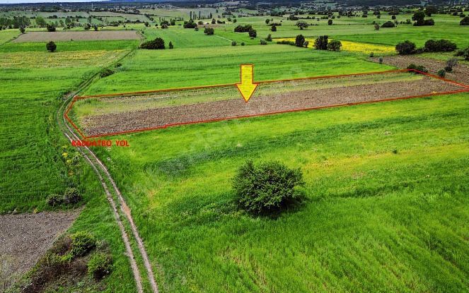 İlan Fotoğrafı