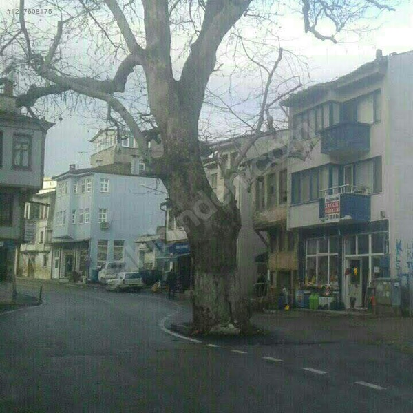 İlan Fotoğrafı