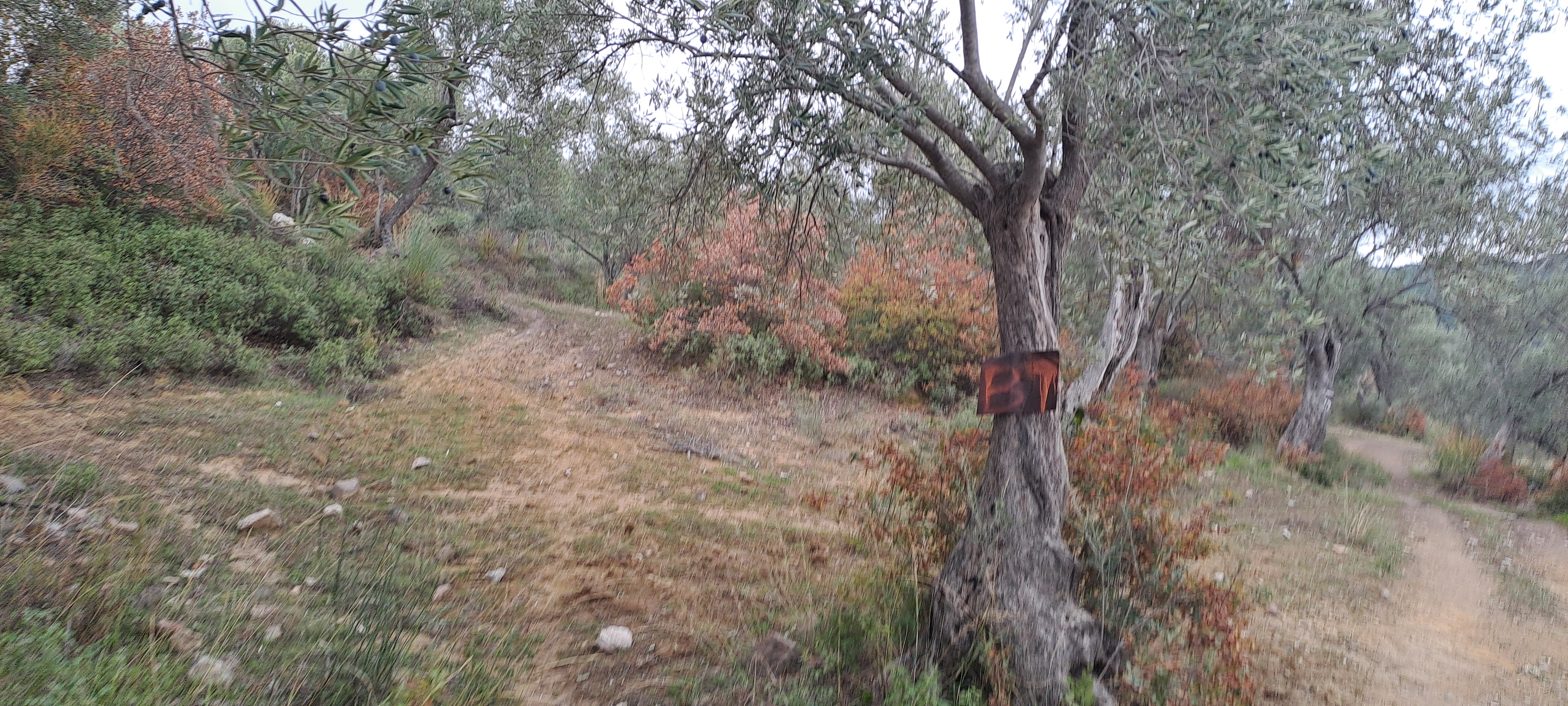 İlan Fotoğrafı