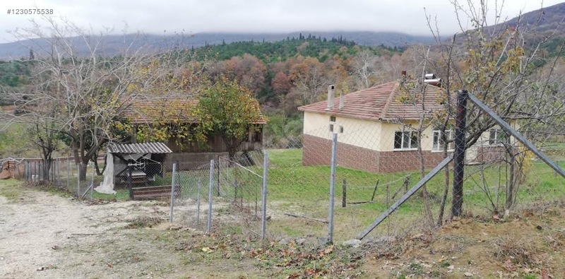 İlan Fotoğrafı