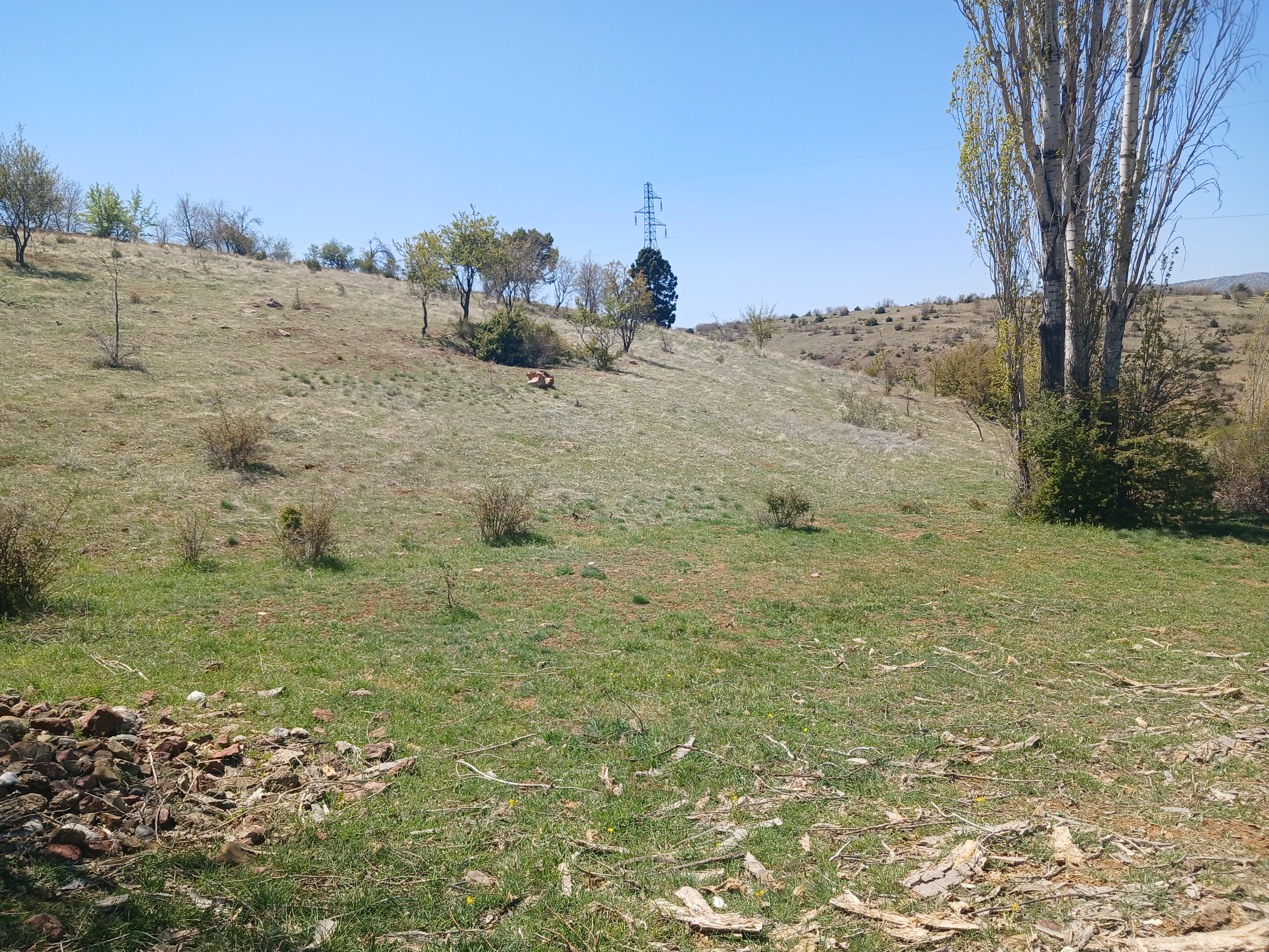 İlan Fotoğrafı