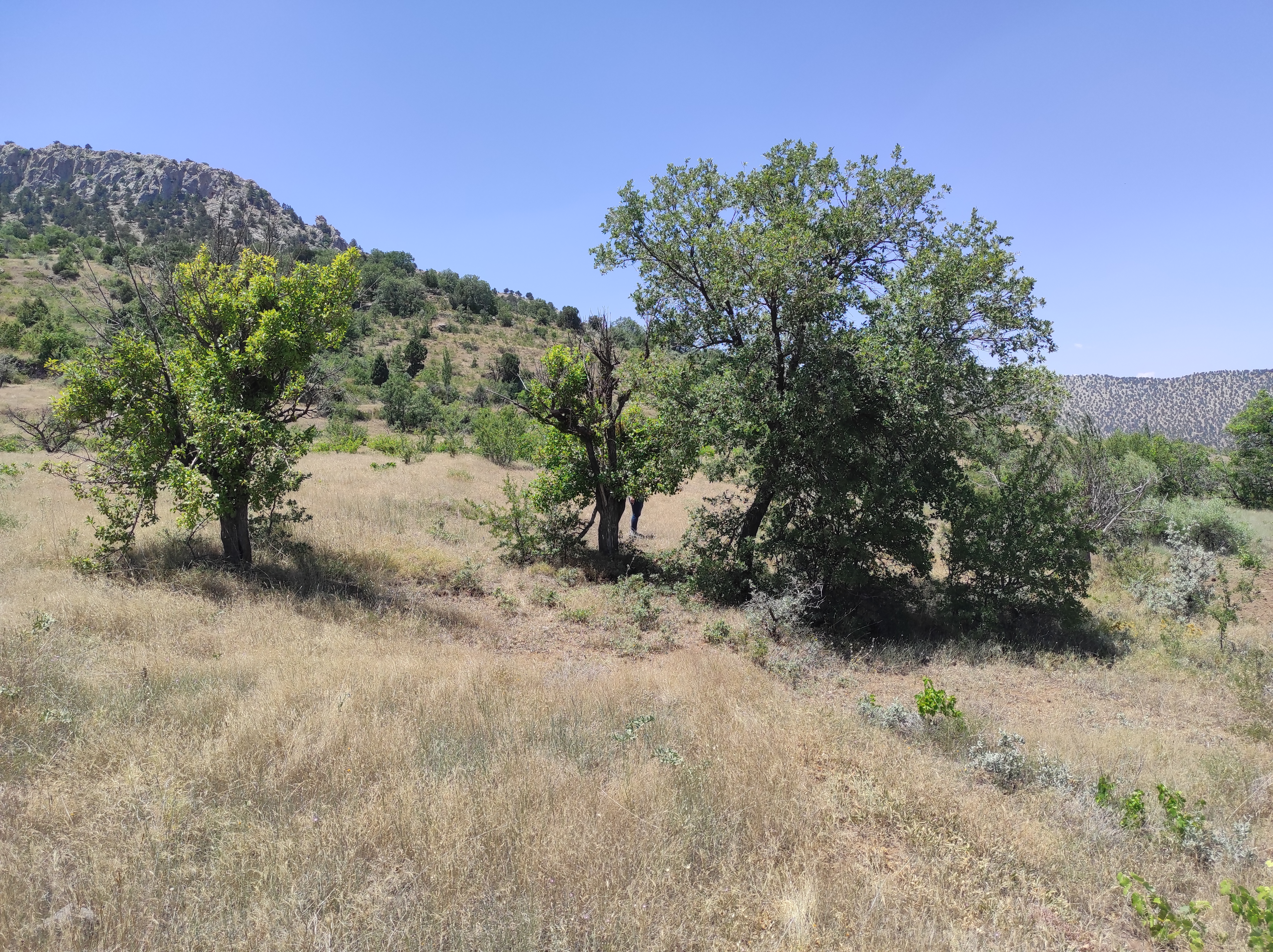 İlan Fotoğrafı
