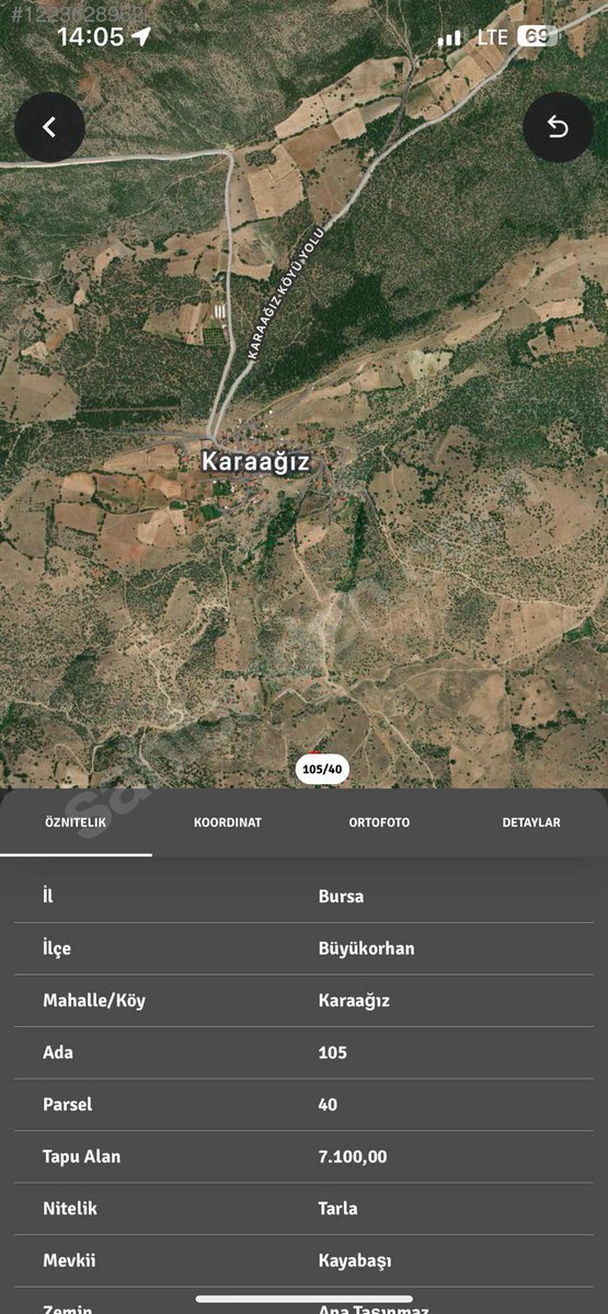 Fotoğraf