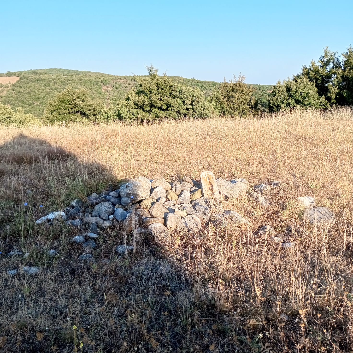 İlan Fotoğrafı