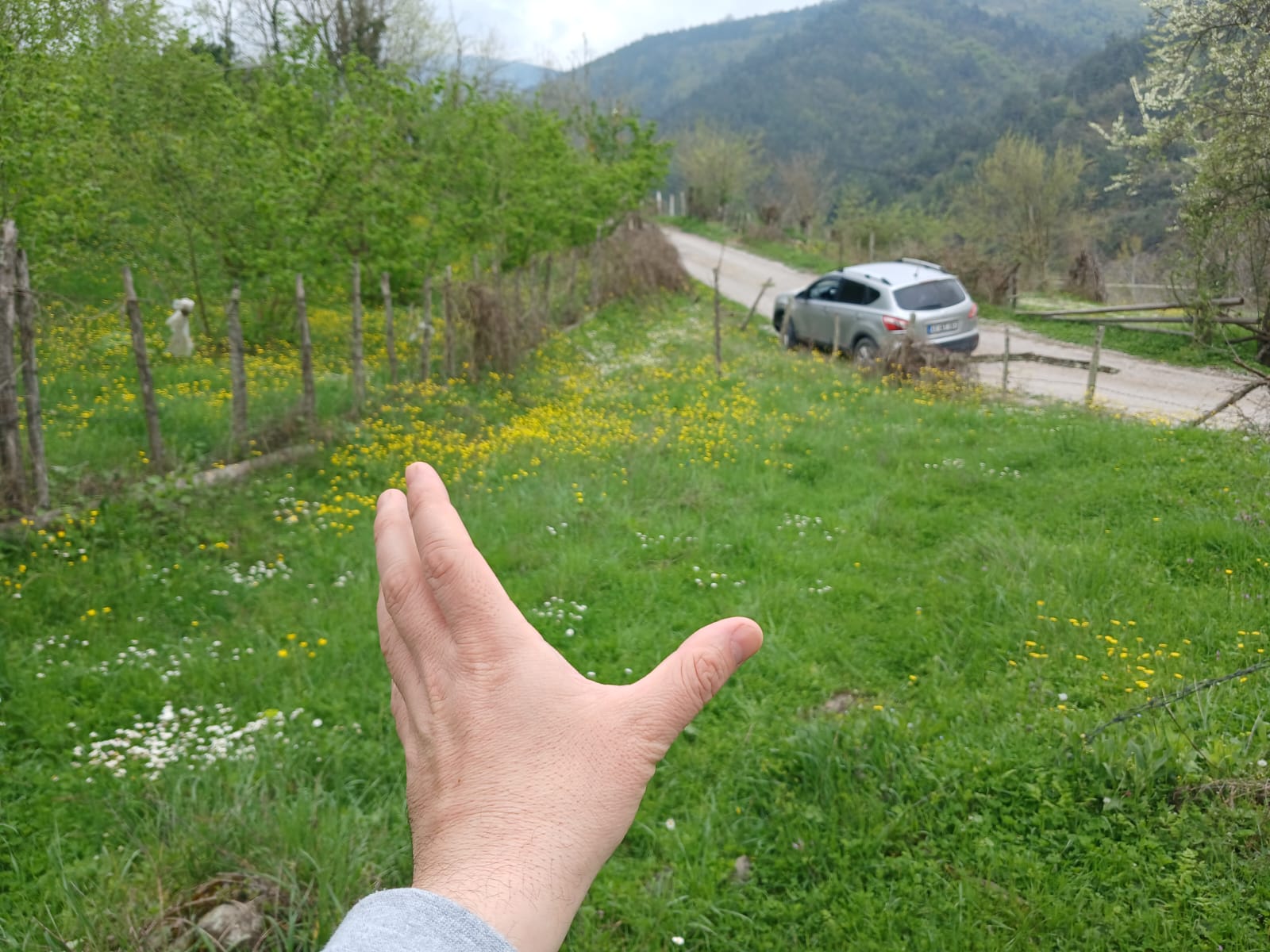 İlan Fotoğrafı