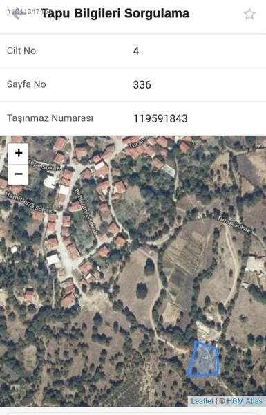 Fotoğraf