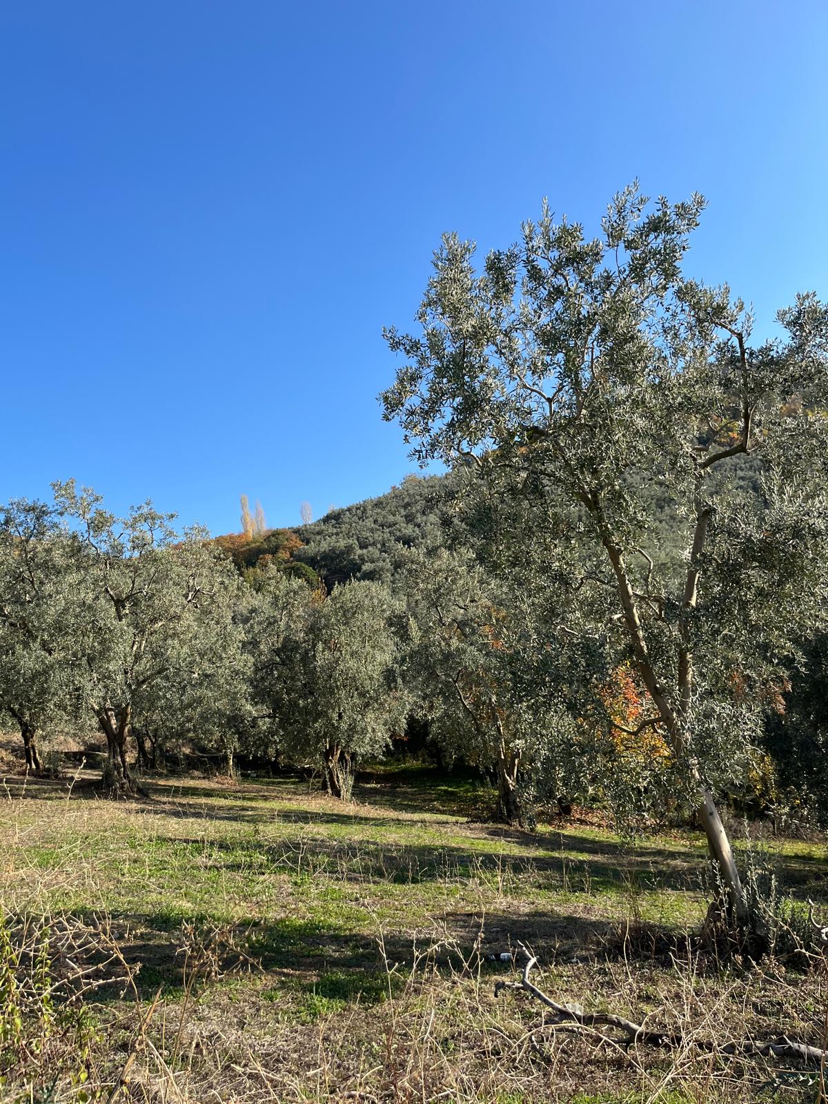 İlan Fotoğrafı