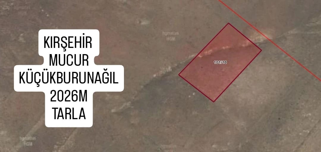 Fotoğraf