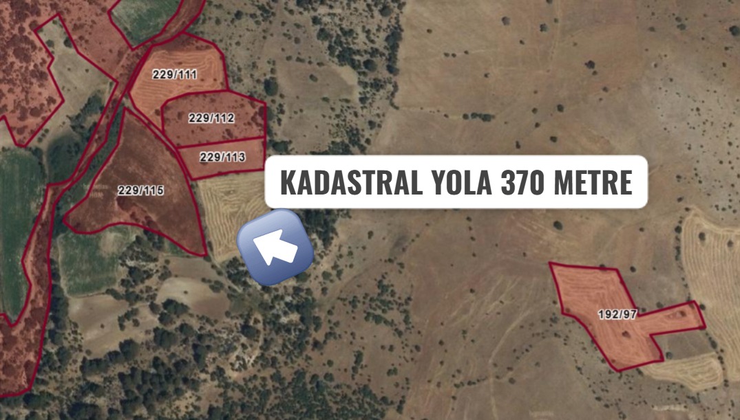 Fotoğraf