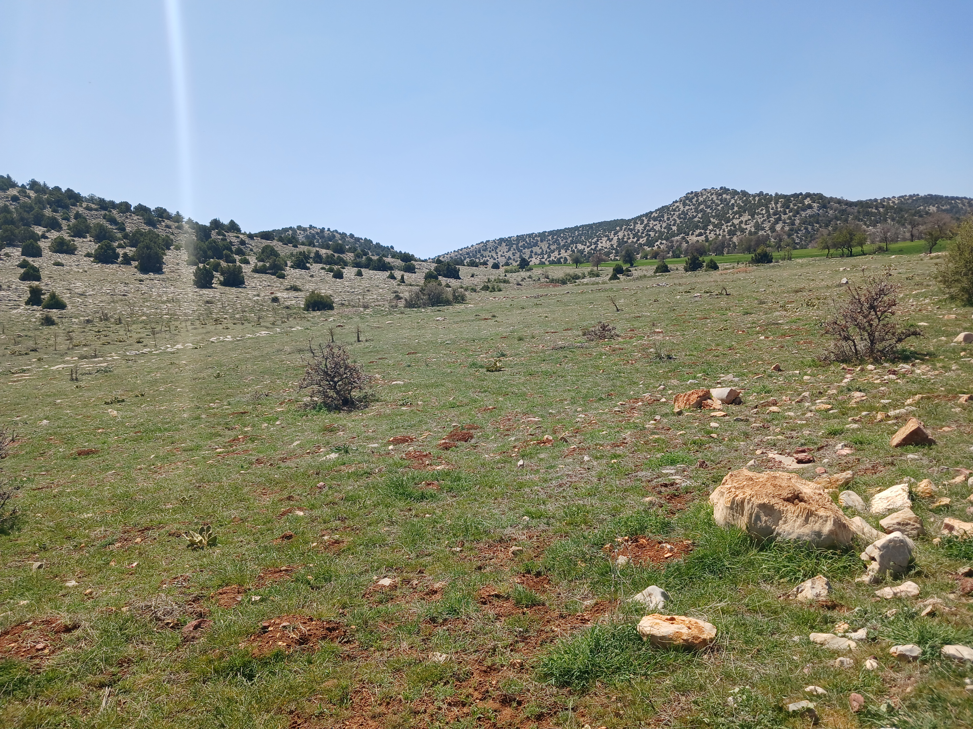 İlan Fotoğrafı